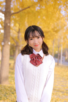 小黄花必看开车必备